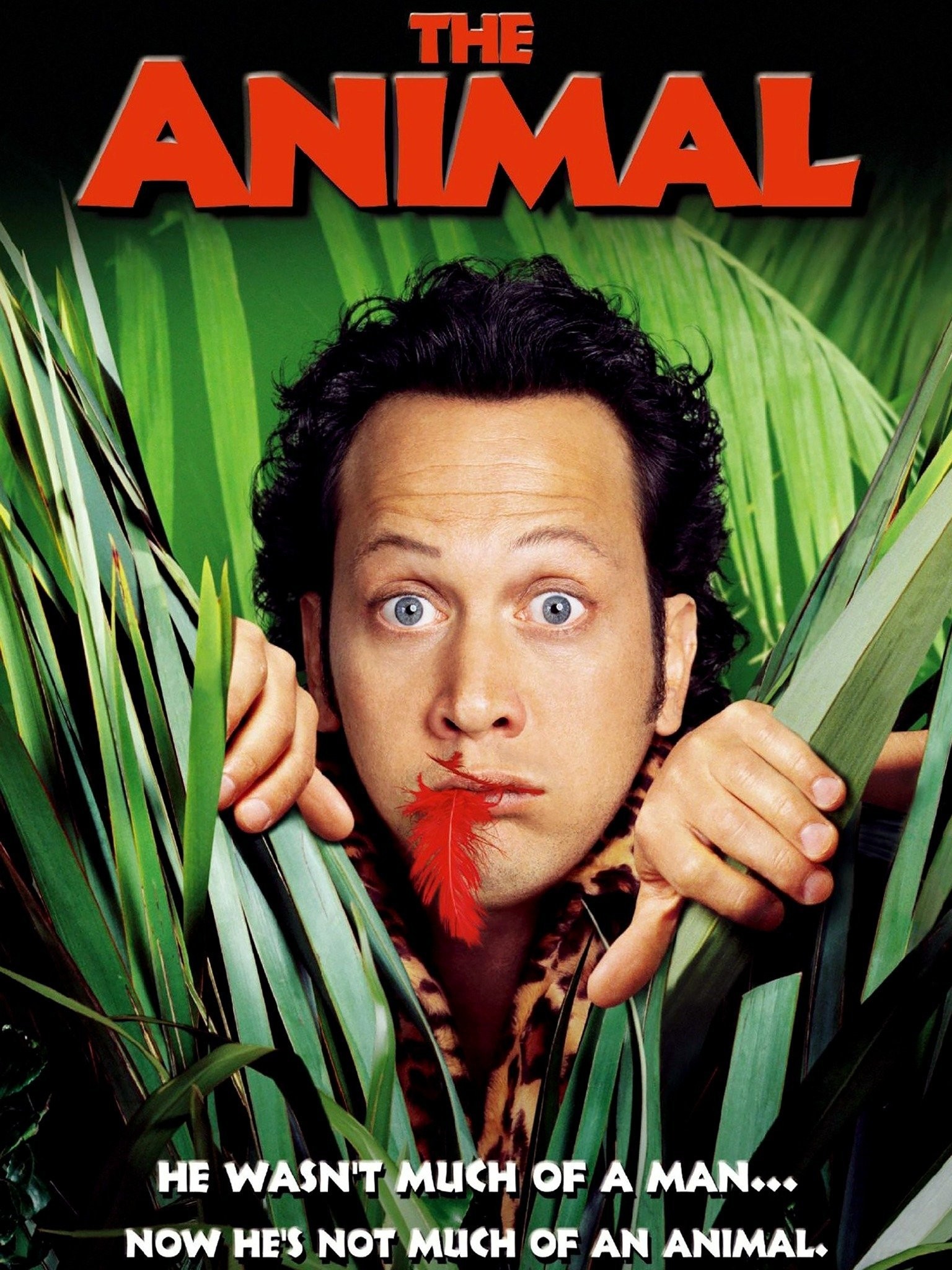 The Animal
