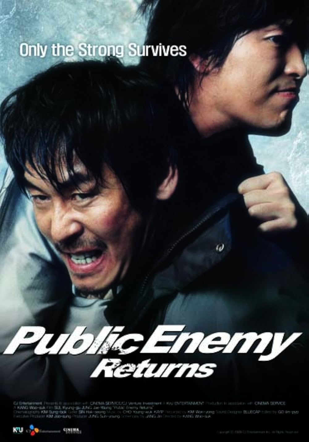 Public Enemy Returns