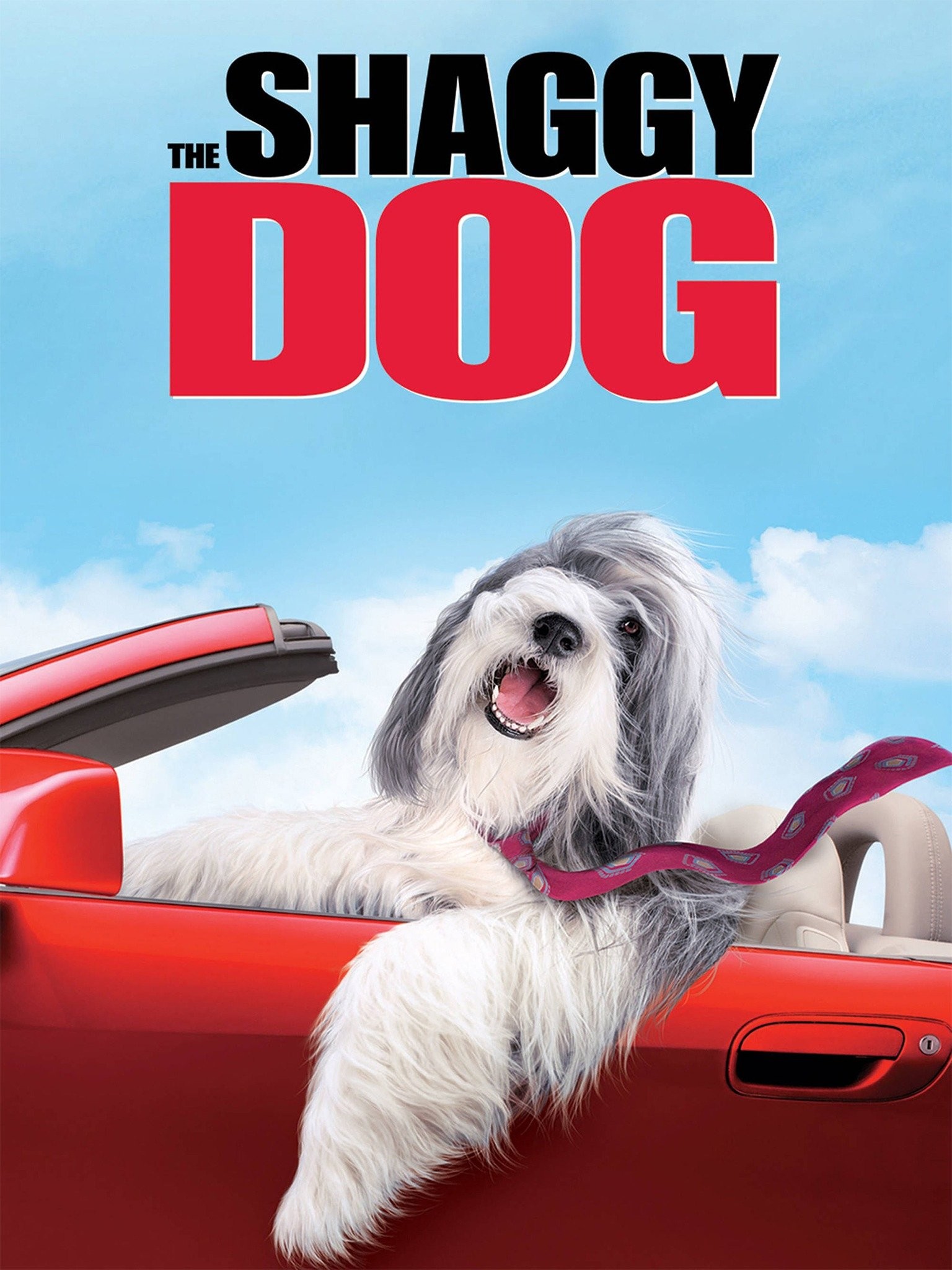 The Shaggy Dog